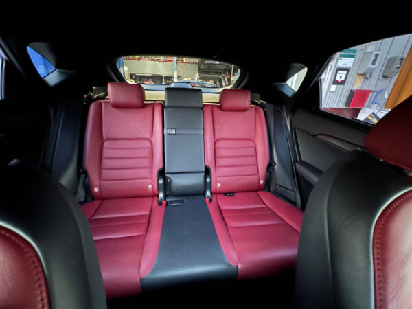 レクサス　NX　300h Fスポーツ - 画像 (10)
