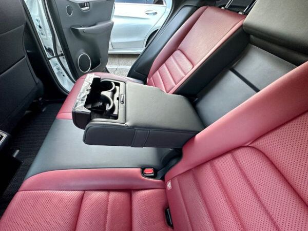レクサス　NX　300h Fスポーツ - 画像 (11)