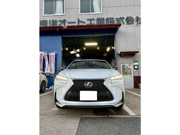 レクサス　NX　300h Fスポーツ - 画像 (13)