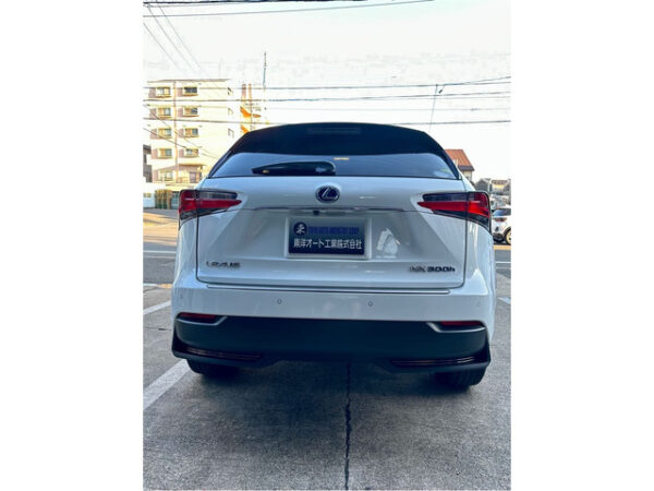 レクサス　NX　300h Fスポーツ - 画像 (20)