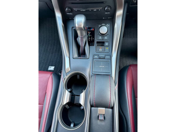 レクサス　NX　300h Fスポーツ - 画像 (31)