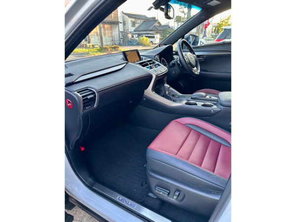 レクサス　NX　300h Fスポーツ - 画像 (44)