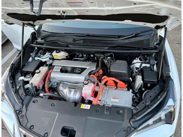 レクサス　NX　300h Fスポーツ - 画像 (84)