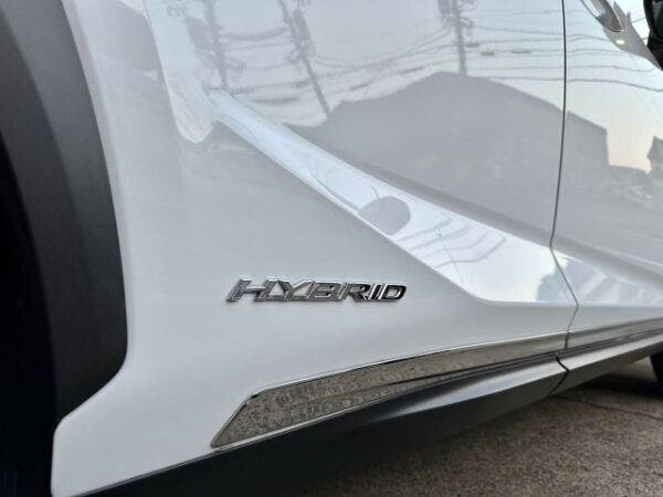 レクサス　NX　300h Fスポーツ - 画像 (90)